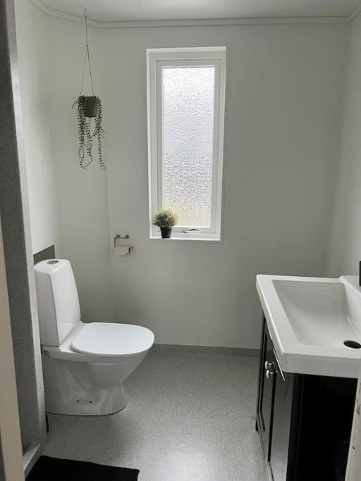 Apartment In The Center Of Torshavn, Free Parking. Bagian luar foto